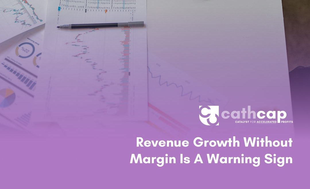 CFO reviewing financial dashboard showing revenue growth without margin improvement