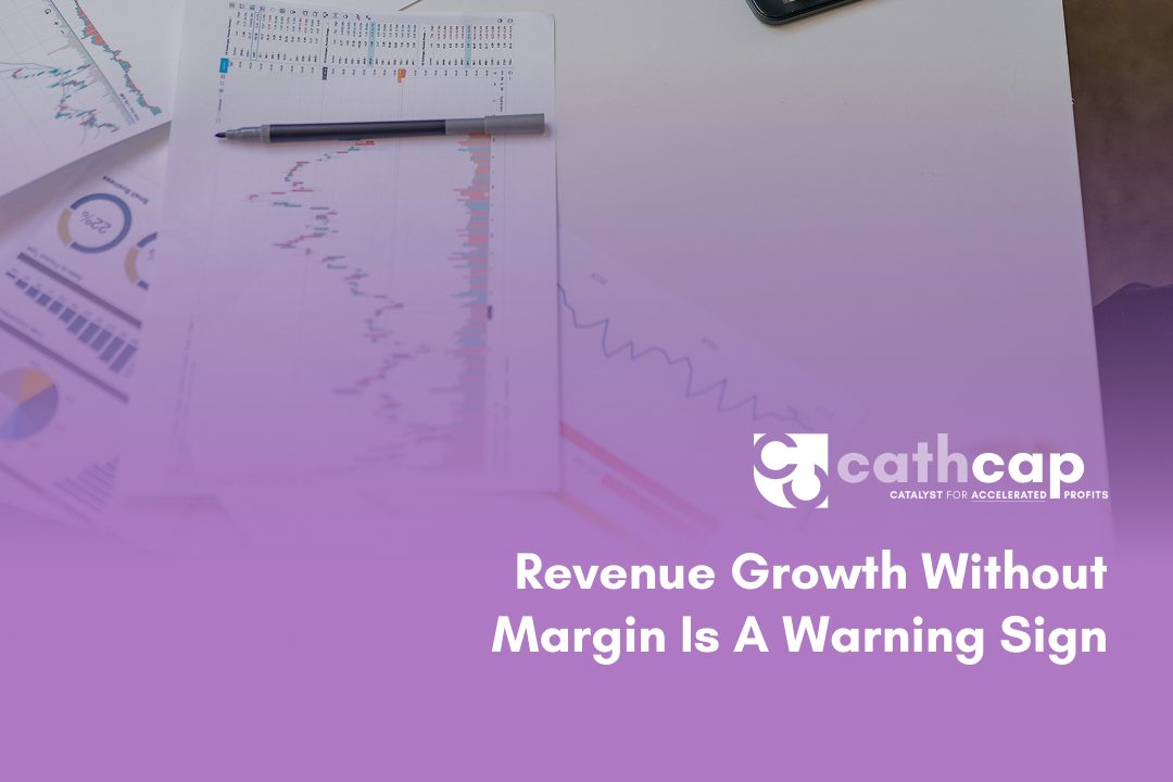 CFO reviewing financial dashboard showing revenue growth without margin improvement